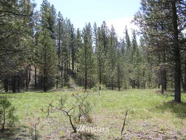 4-tbd Squirrel Road Tonasket, WA 98855 - Photo 10 of 18