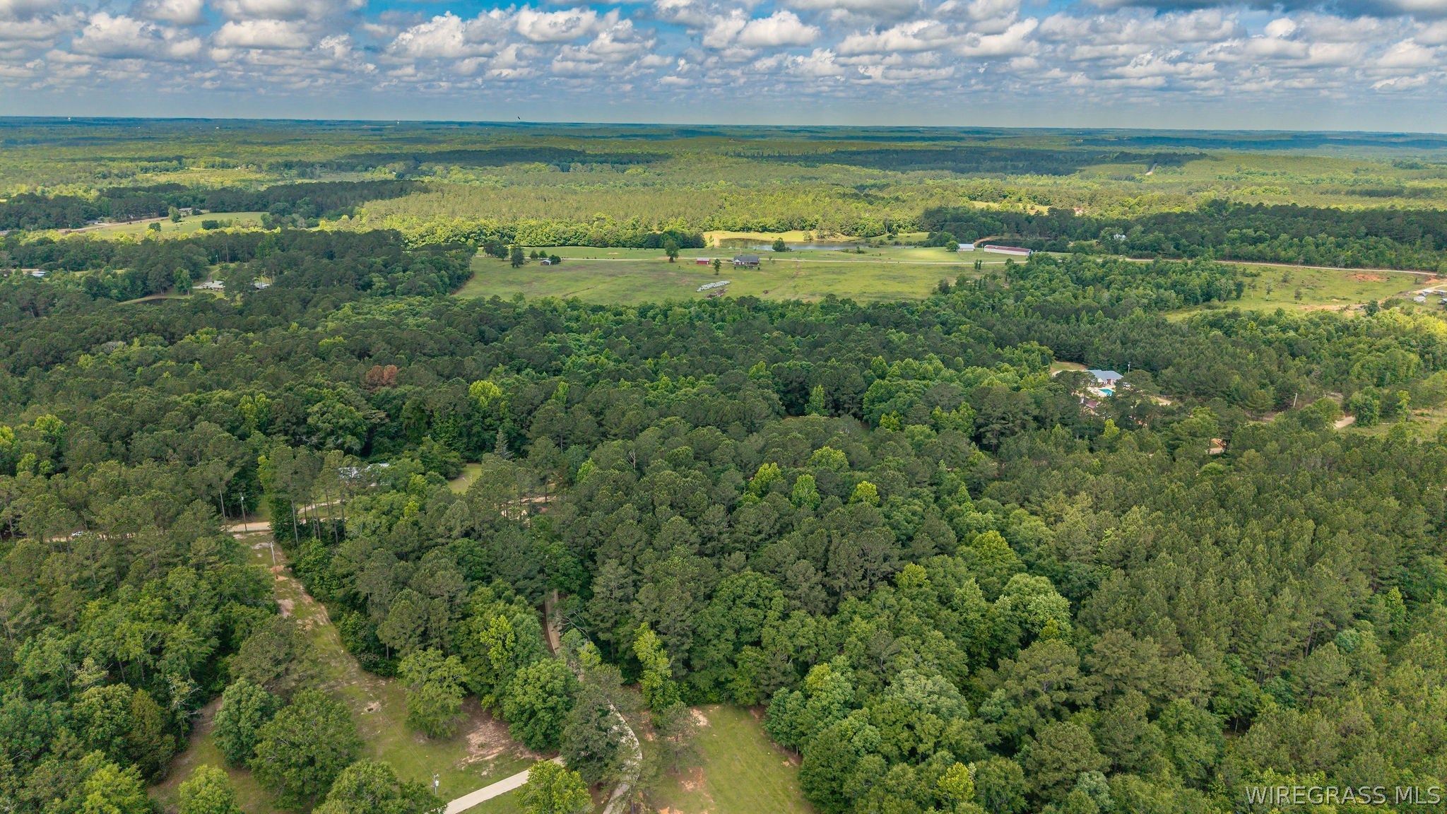 0 County Road 245 Road Elba, AL 36323 - Photo 17 of 27 Gallery Image 17