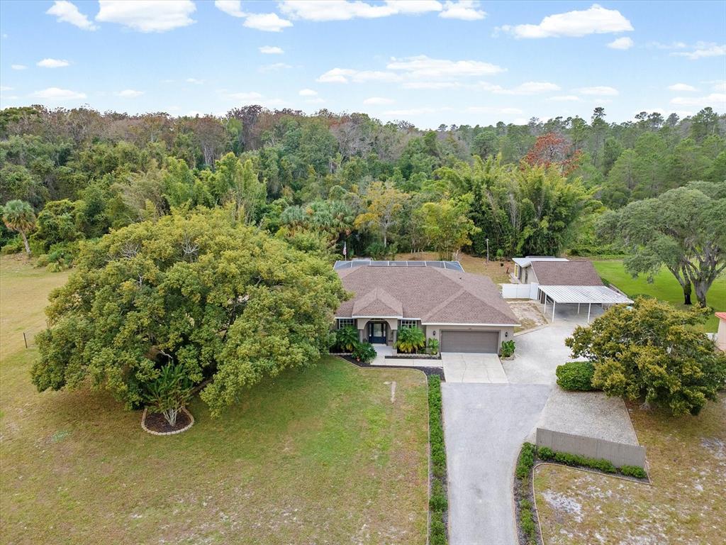 8551 Pratt Drive New Port Richey, FL 34654 - Photo 27 of 100