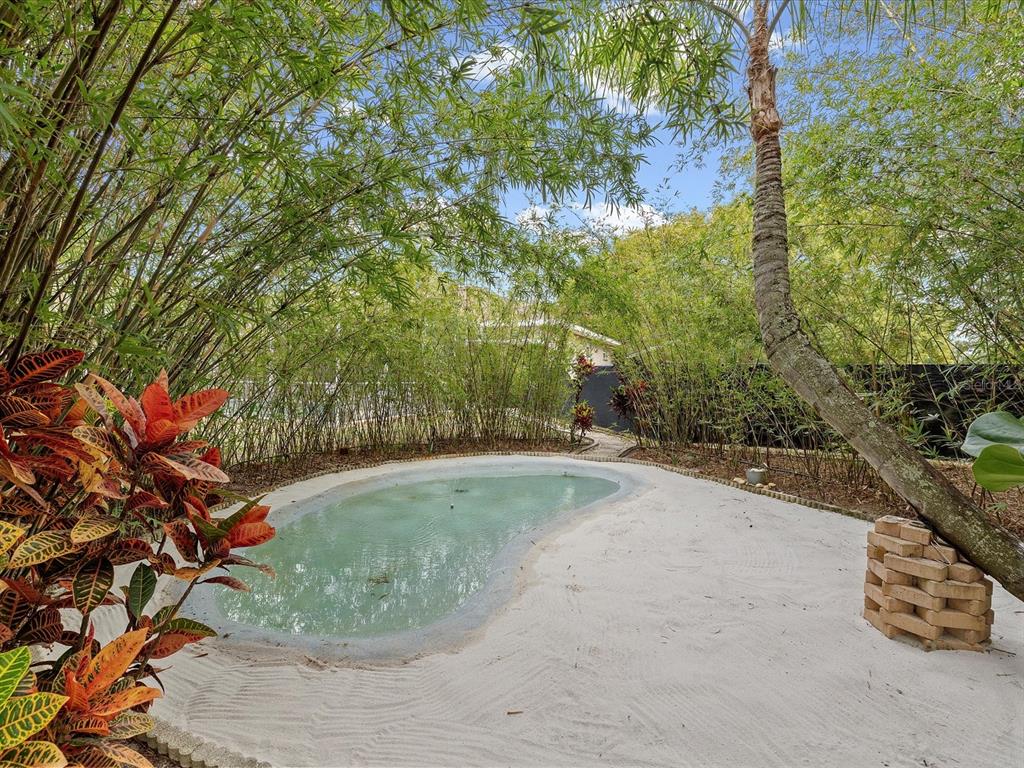 8551 Pratt Drive New Port Richey, FL 34654 - Photo 51 of 100