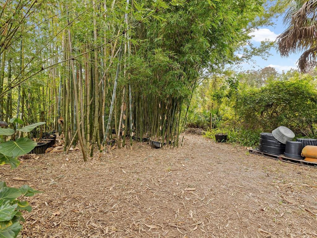 8551 Pratt Drive New Port Richey, FL 34654 - Photo 72 of 100