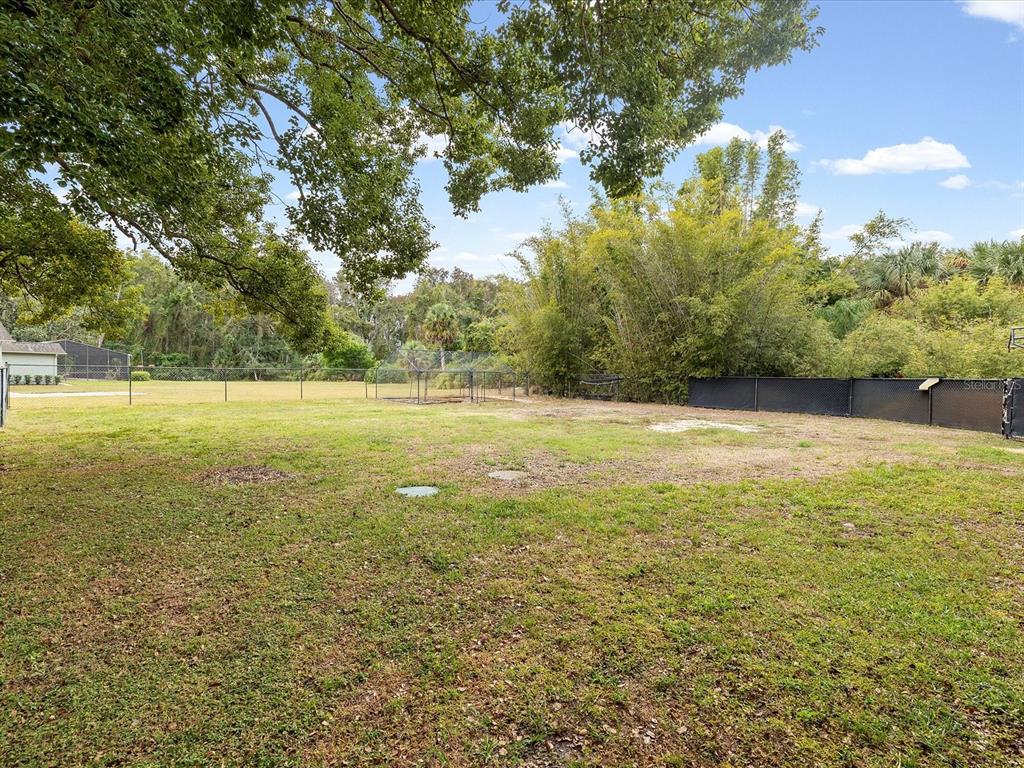 8551 Pratt Drive New Port Richey, FL 34654 - Photo 73 of 100