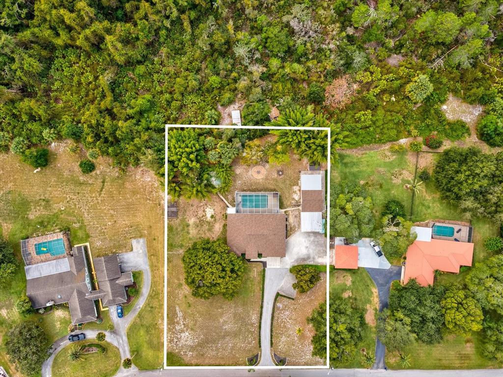 8551 Pratt Drive New Port Richey, FL 34654 - Photo 86 of 100 an aerial view of residential house with outdoor space and trees all around