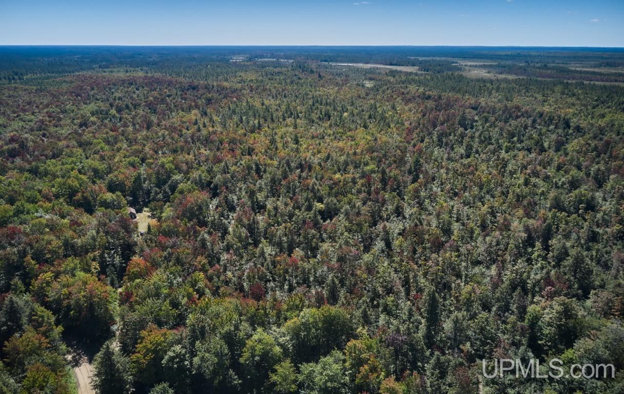 454 Creighton Trail Road Shingleton, MI 49884 - Photo 23 of 26