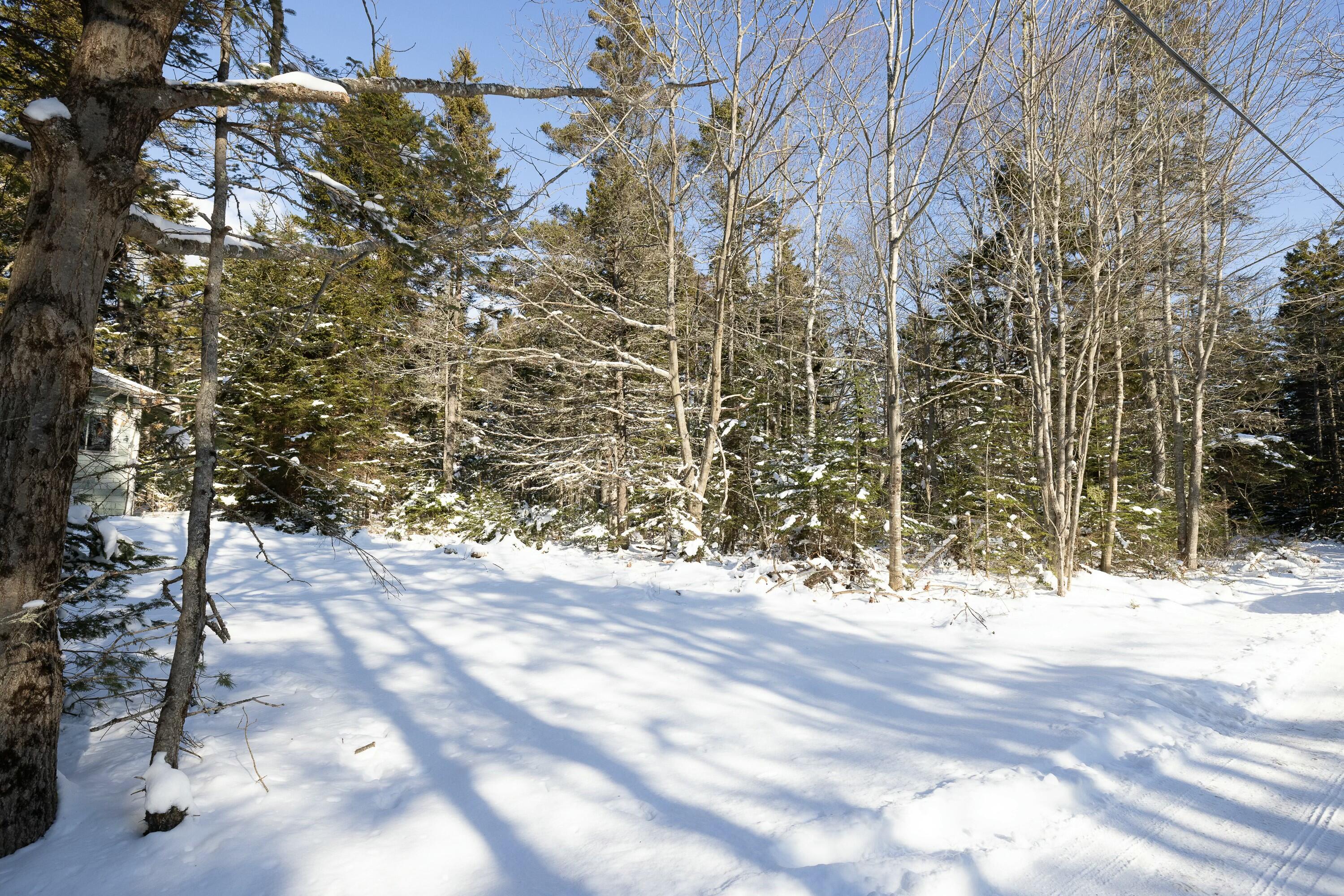 145 Stanley Field Road Deer Isle, ME 04627 - Photo 2 of 4 tempImageFFjUi9