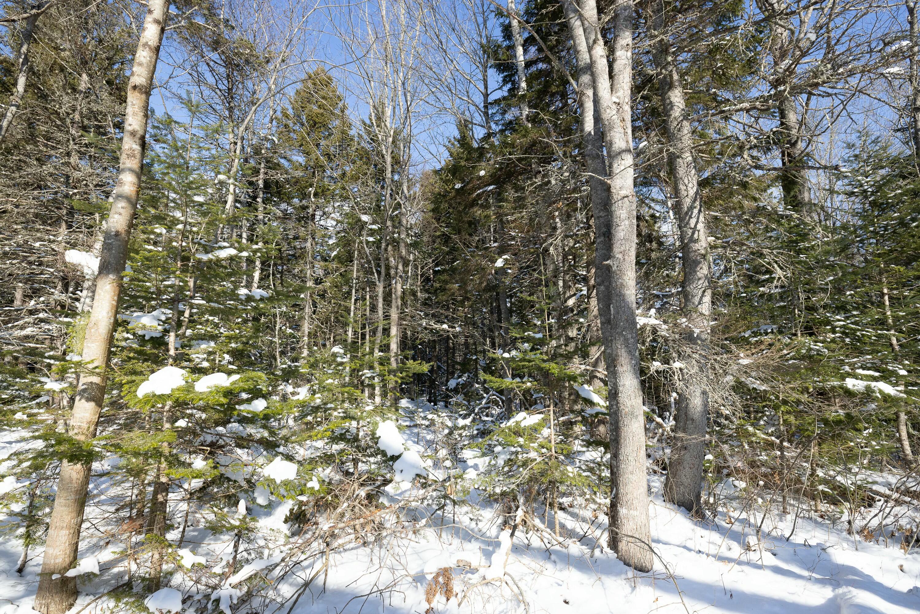 145 Stanley Field Road Deer Isle, ME 04627 - Photo 4 of 4 tempImagesrNaJF