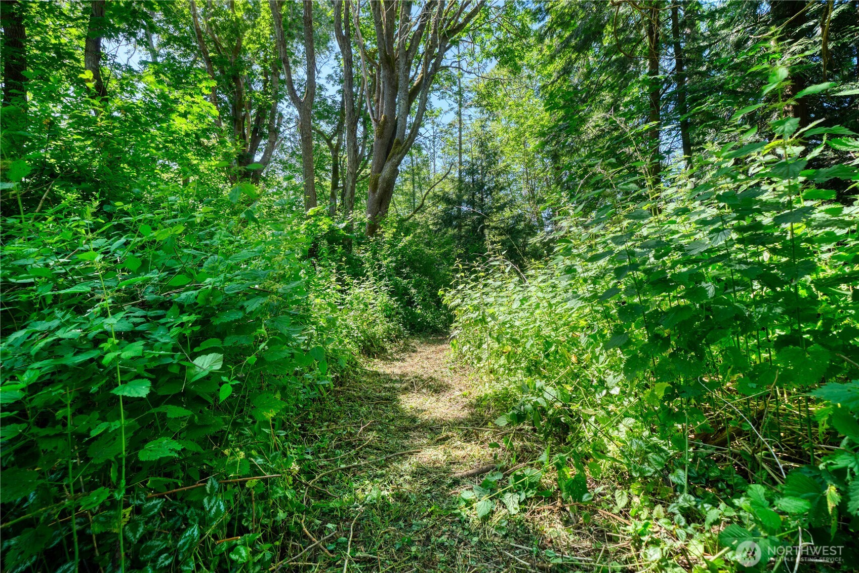 0 6.39 Acres South Beach Rd Point Point Roberts, WA 98281 - Photo 1 of 20