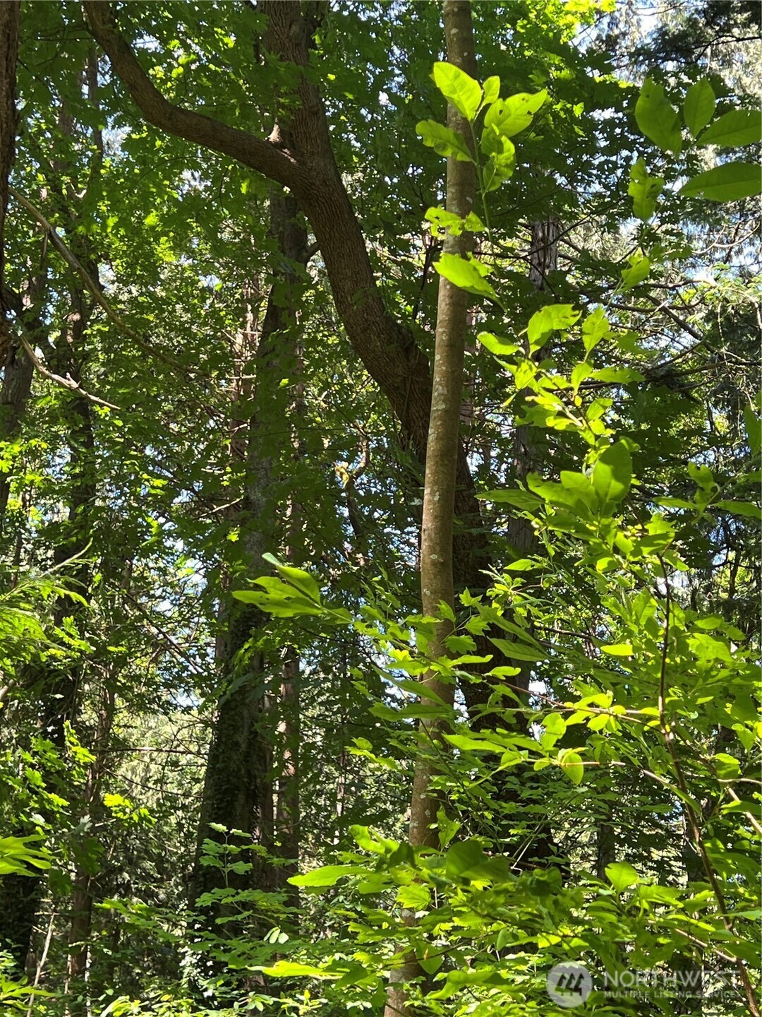 0 6.39 Acres South Beach Rd Point Point Roberts, WA 98281 - Photo 14 of 20