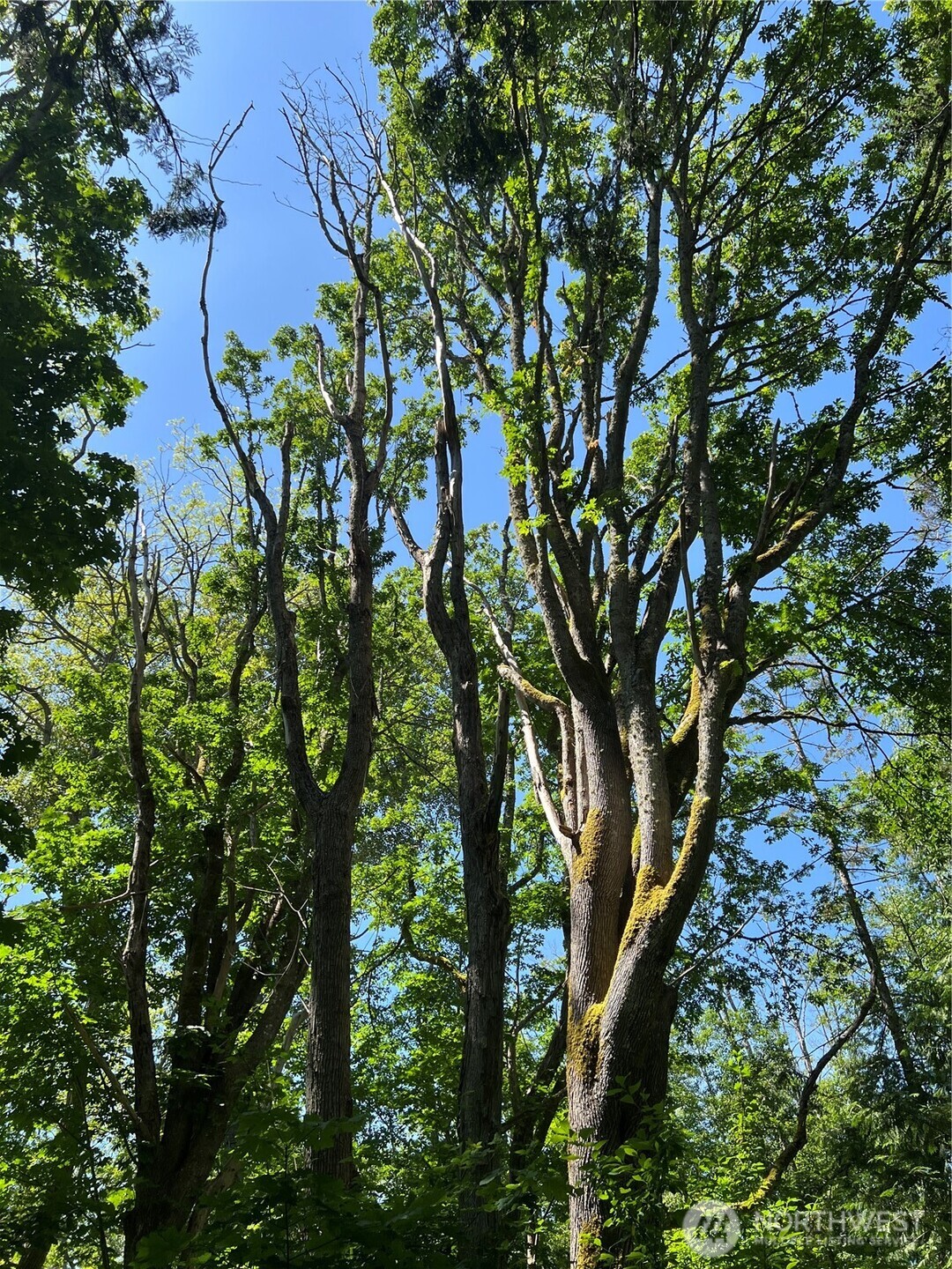 0 6.39 Acres South Beach Rd Point Point Roberts, WA 98281 - Photo 17 of 20
