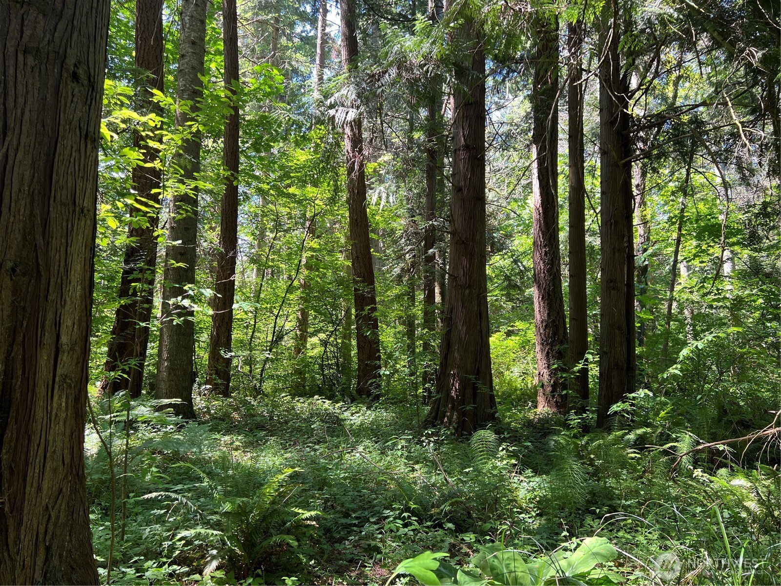 0 6.39 Acres South Beach Rd Point Point Roberts, WA 98281 - Photo 2 of 20