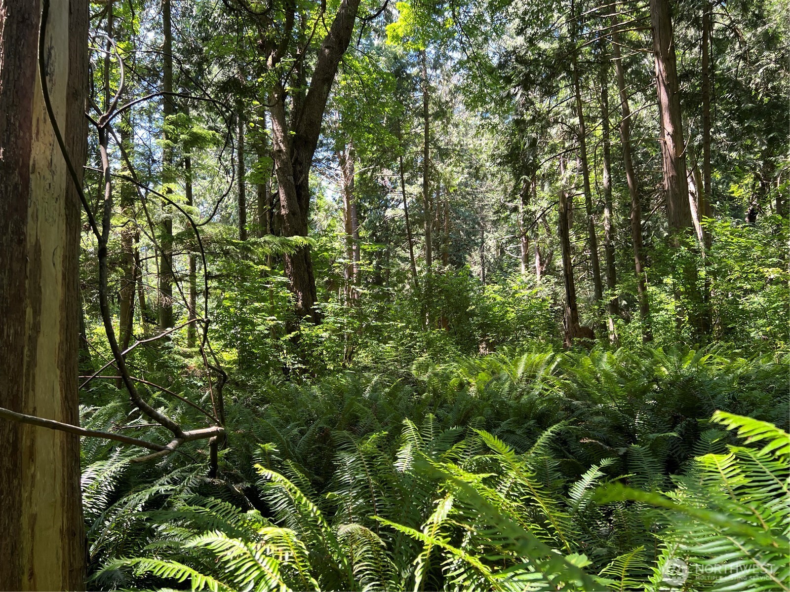 0 6.39 Acres South Beach Rd Point Point Roberts, WA 98281 - Photo 3 of 20