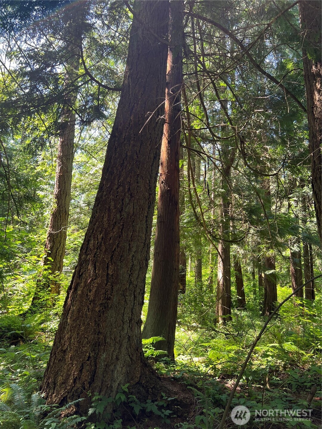 0 6.39 Acres South Beach Rd Point Point Roberts, WA 98281 - Photo 9 of 20