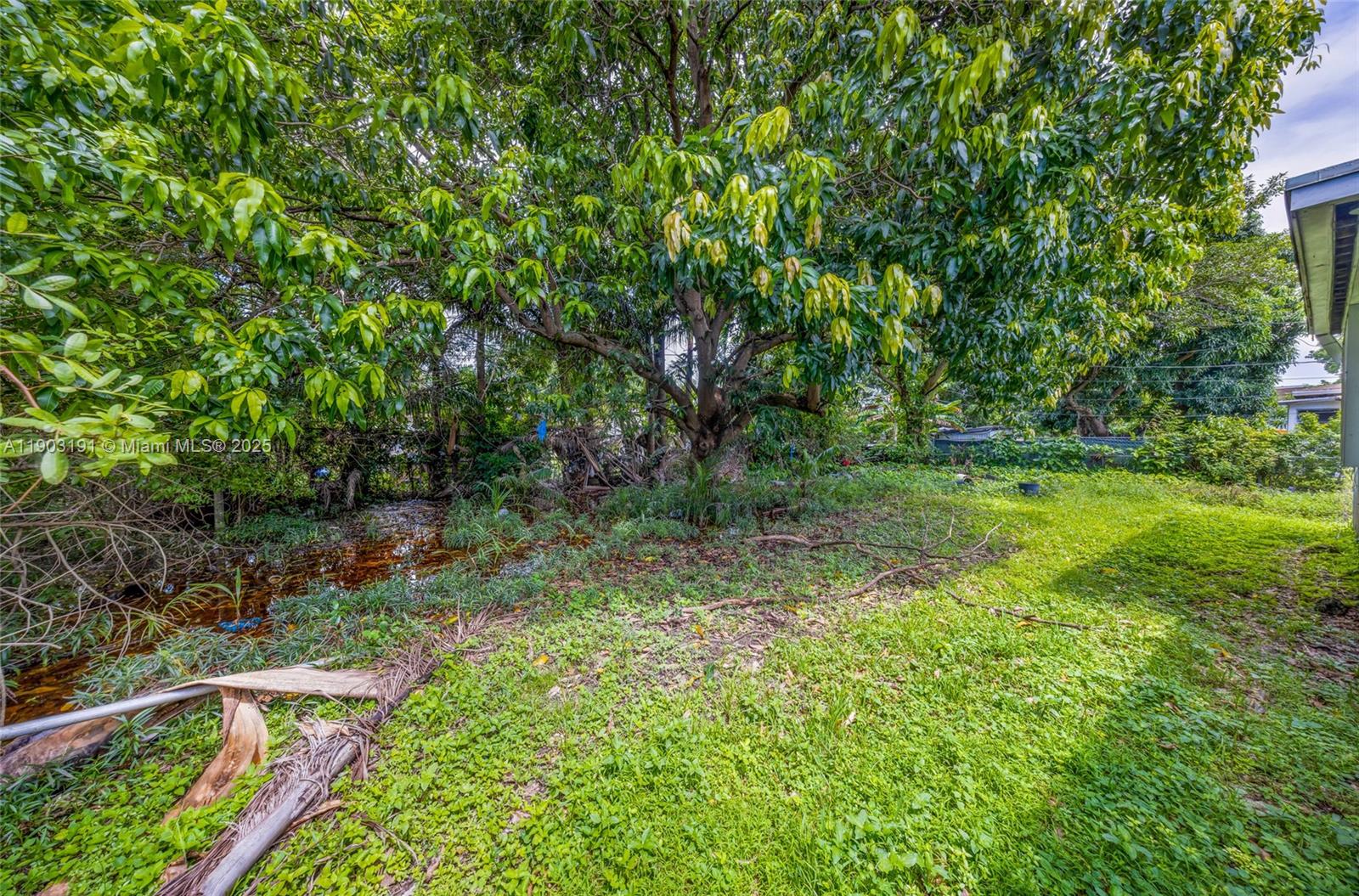 75 Northwest 83rd Street Miami, FL 33150 - Photo 35 of 47 a view of outdoor space and yard
