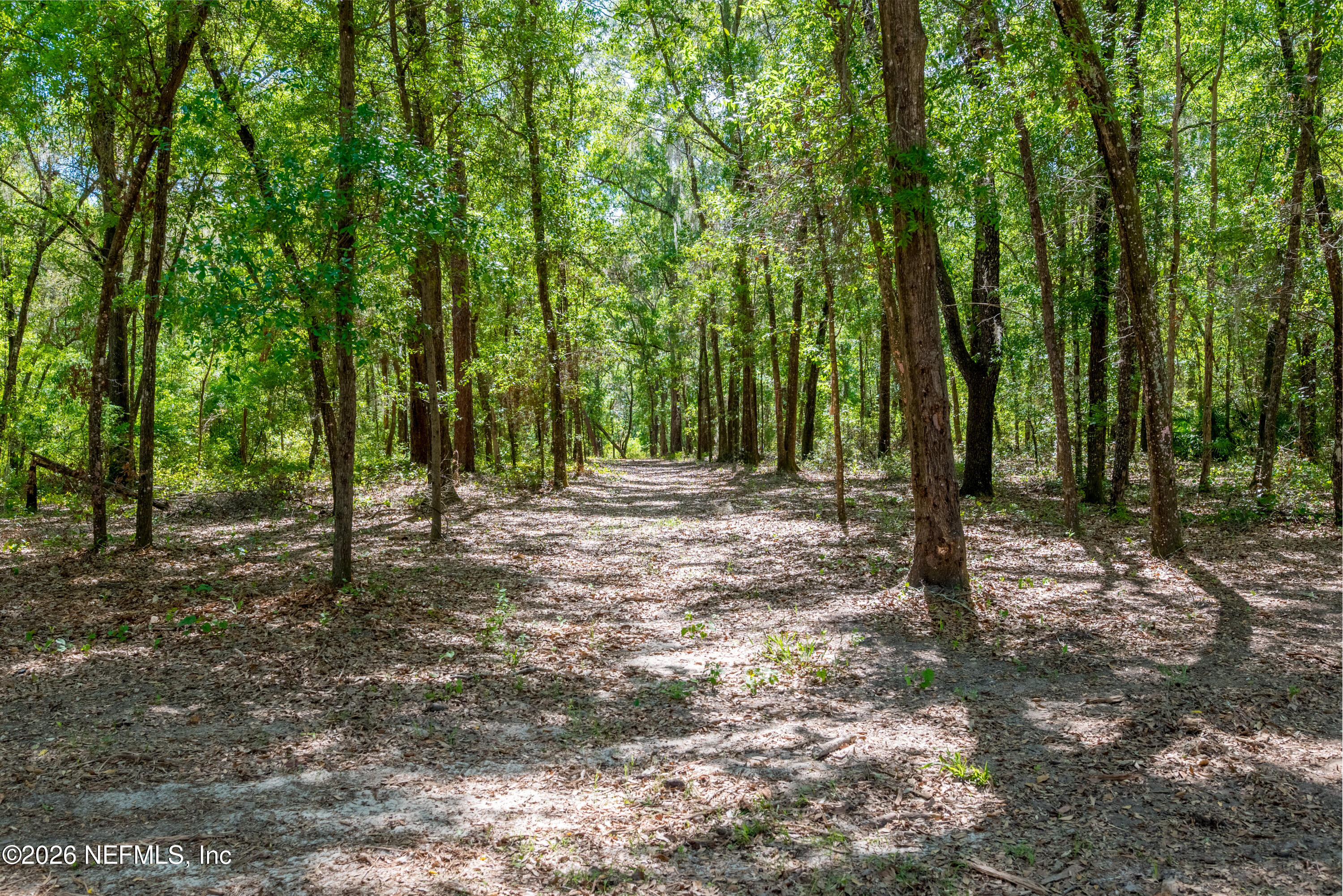 4940 Devils Den Road Keystone Heights, FL 32656 - Photo 35 of 40 35