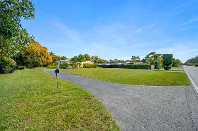 a view of a park with large trees