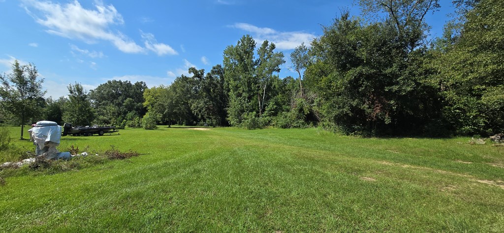 4739 Wallace Buie Road Columbia, AL 36319 - Photo 29 of 54