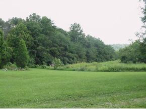 1610 Davis Valley Road Afton, TN 37616 - Photo 7 of 9 Photo 7