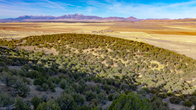 0 County Road 28 Levan, UT 84639 - Photo 138 of 207
