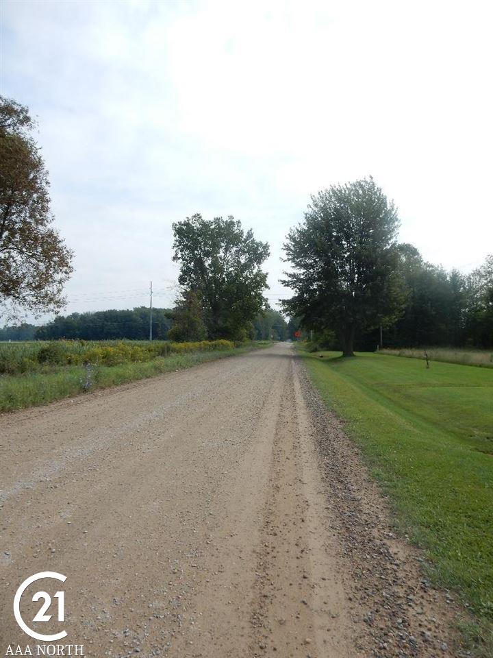 0 West Wellman Line Road Melvin, MI 48097 - Photo 1 of 7