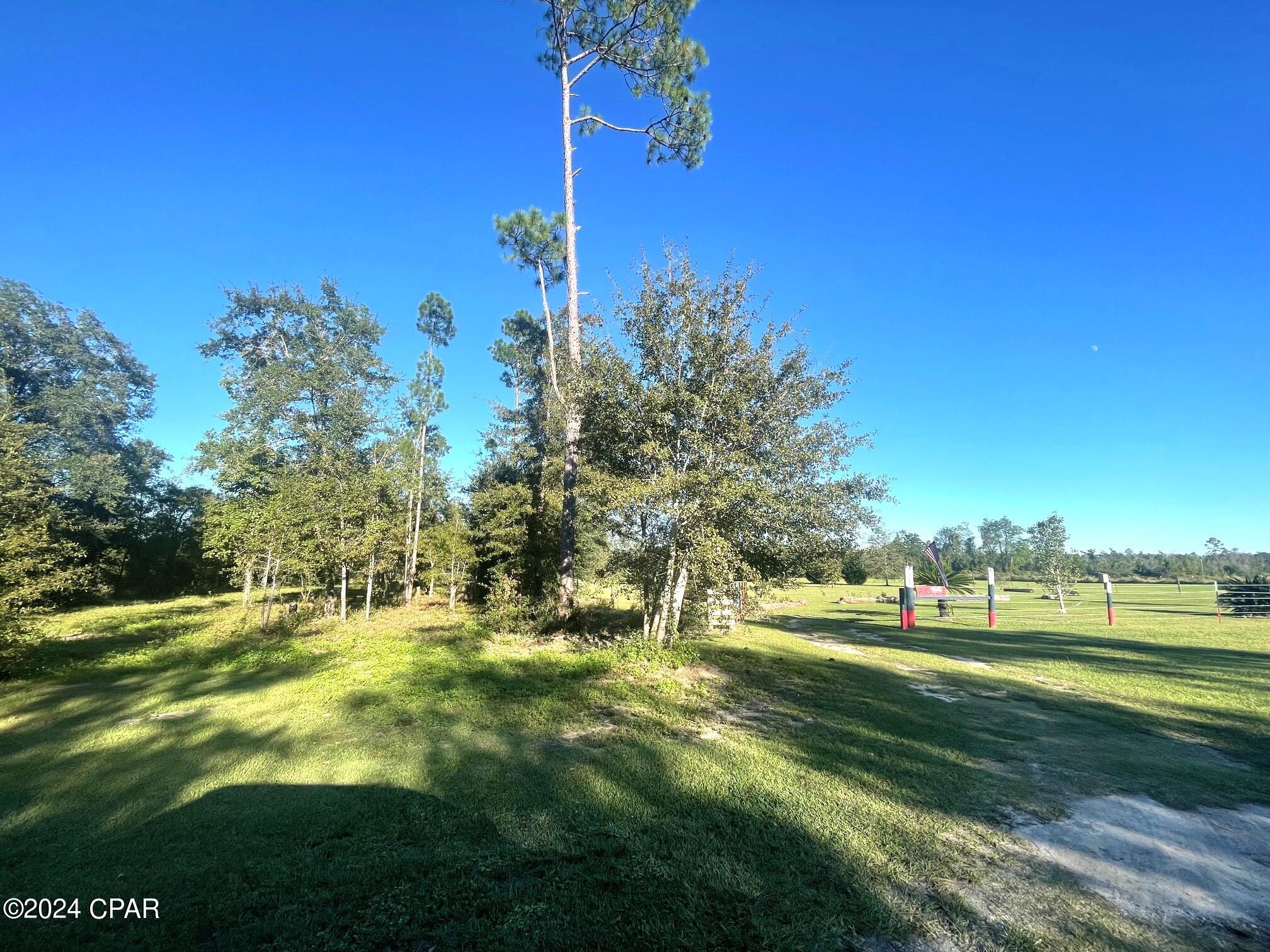 6665 Raylene Road Grand Ridge, FL 32442 - Photo 71 of 98 Gallery Image 71