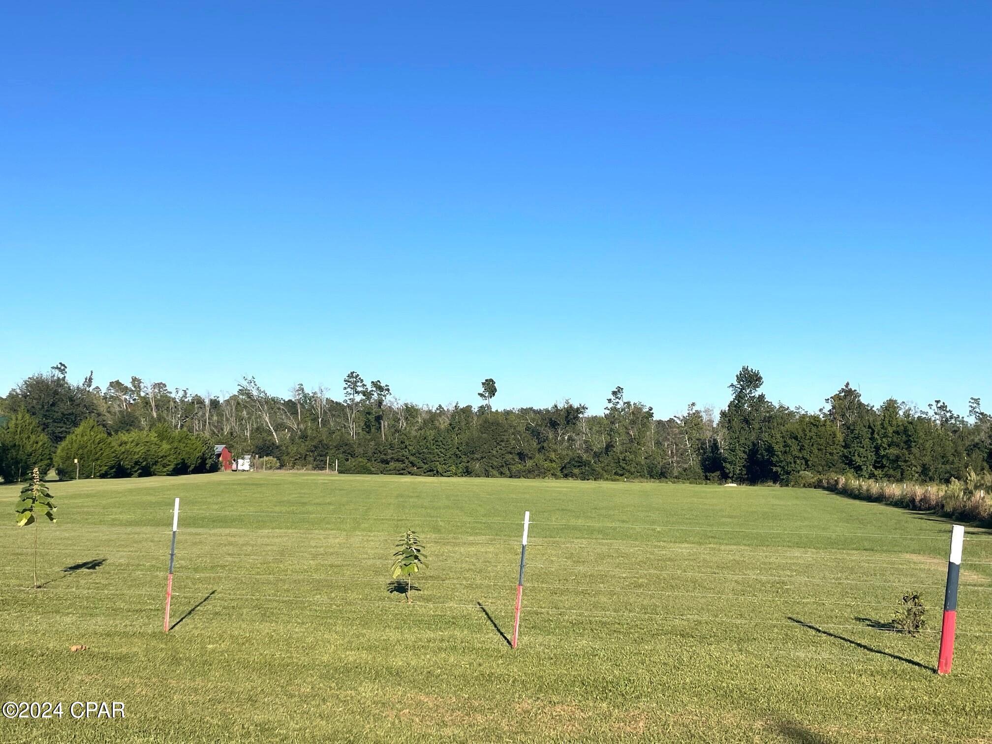 6665 Raylene Road Grand Ridge, FL 32442 - Photo 77 of 98 Gallery Image 77