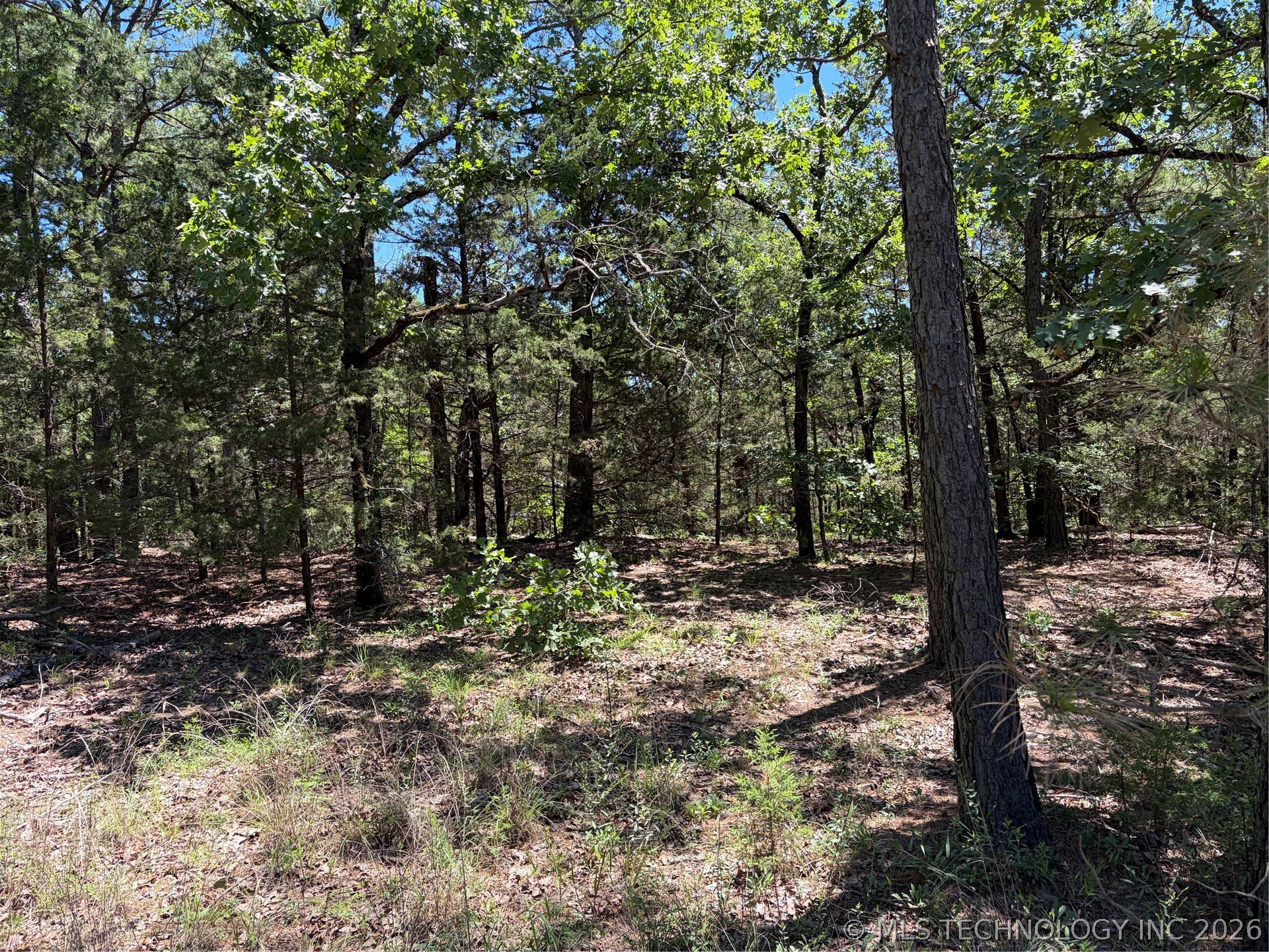 John's Valley Road Moyers, OK 74557 - Photo 12 of 17 Wooded terrain with mature trees and natural ground cover