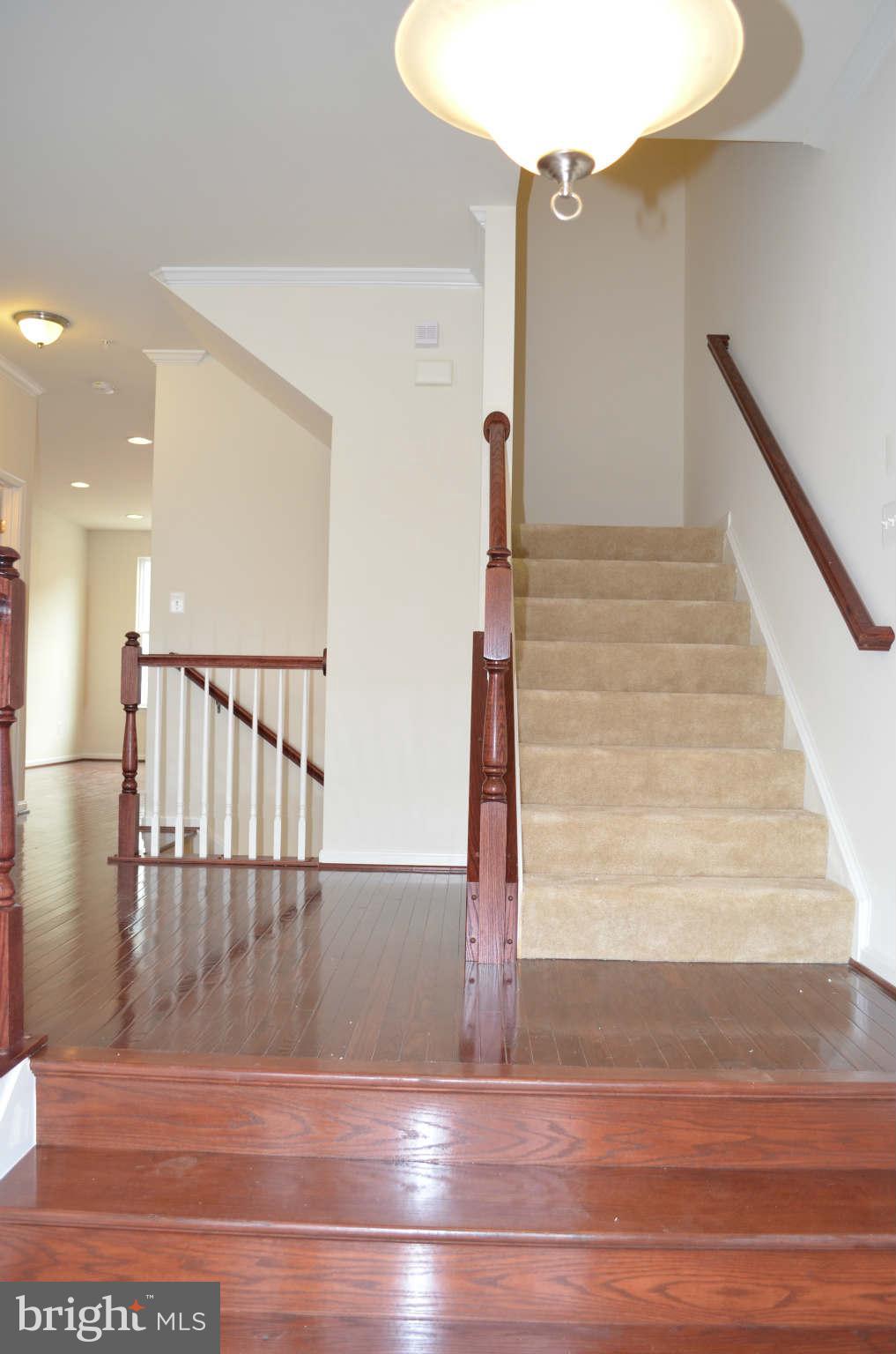 7943 Silver Oak Road Hanover, MD 21076 - Photo 5 of 30 Interior (General)