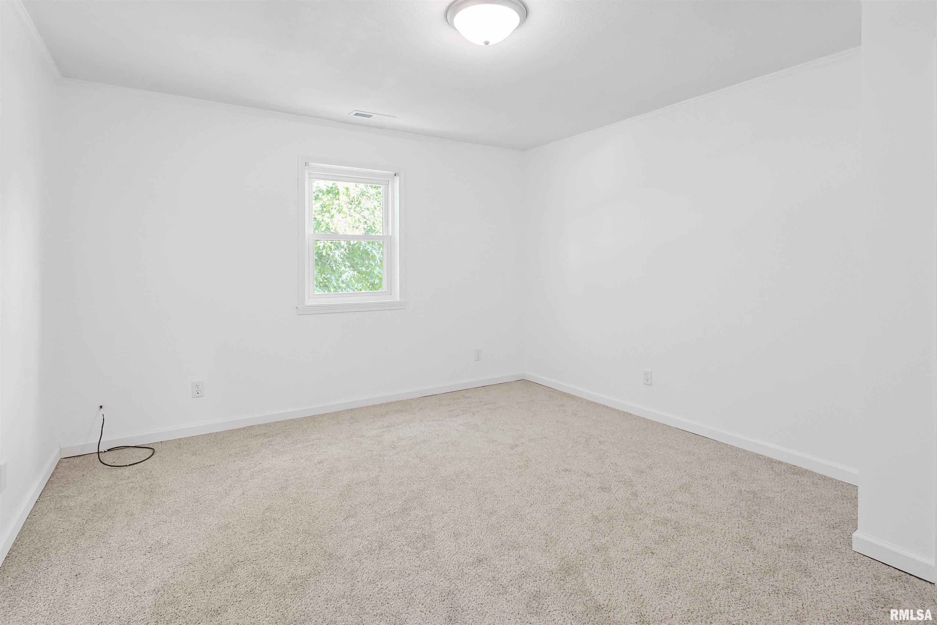 1560 Lick Creek Road Anna, IL 62906 - Photo 11 of 29