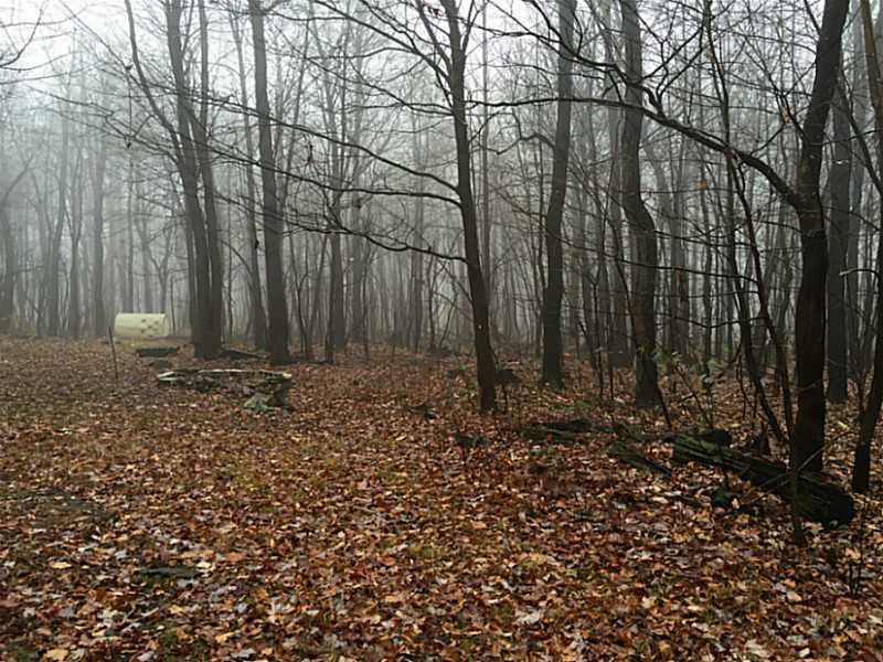 151 Beacon Light Road Latrobe, PA 15650 - Photo 14 of 25 Land/Lot.