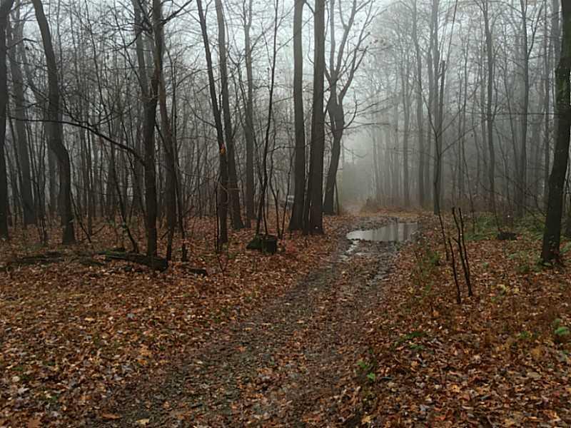 151 Beacon Light Road Latrobe, PA 15650 - Photo 23 of 25 Land/Lot.