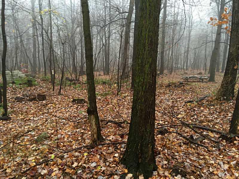 151 Beacon Light Road Latrobe, PA 15650 - Photo 4 of 25 Land/Lot.