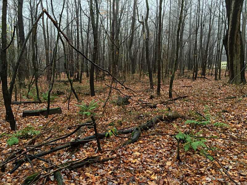 151 Beacon Light Road Latrobe, PA 15650 - Photo 6 of 25 Land/Lot.