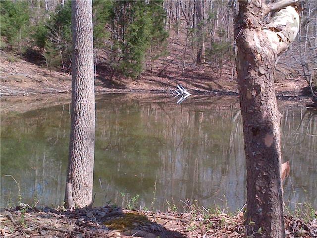 1131 Walnut Grove Road Dickson, TN 37055 - Photo 14 of 15 Gallery Image 14