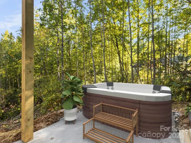 a view of a field with plants and trees