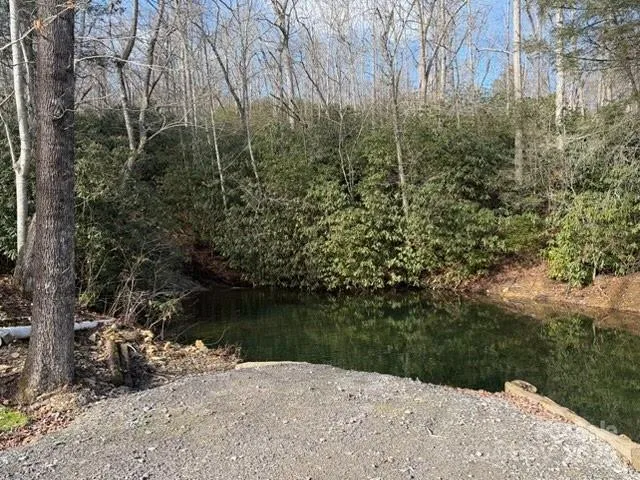 a view of a lake with a bench and trees