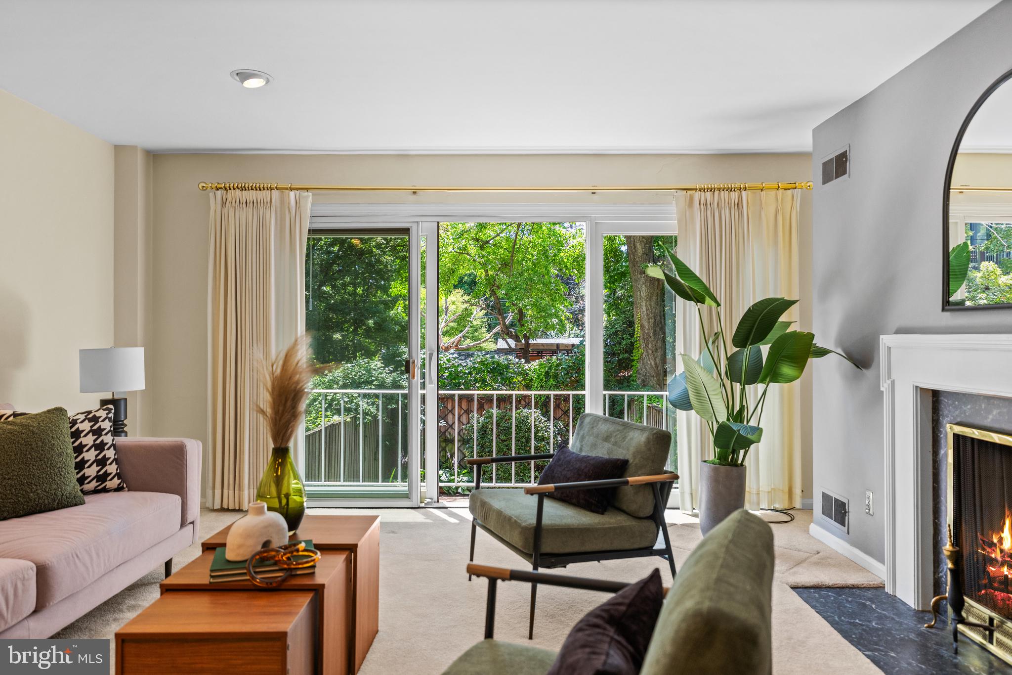 413 D Street Southeast Washington, DC 20003 - Photo 24 of 41 Living Room French Doors & Juliette Balcony