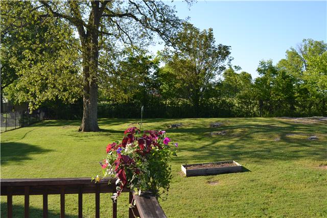 477 Rome Pike Lebanon, TN 37087 - Photo 11 of 14 View of the beautiful backyard