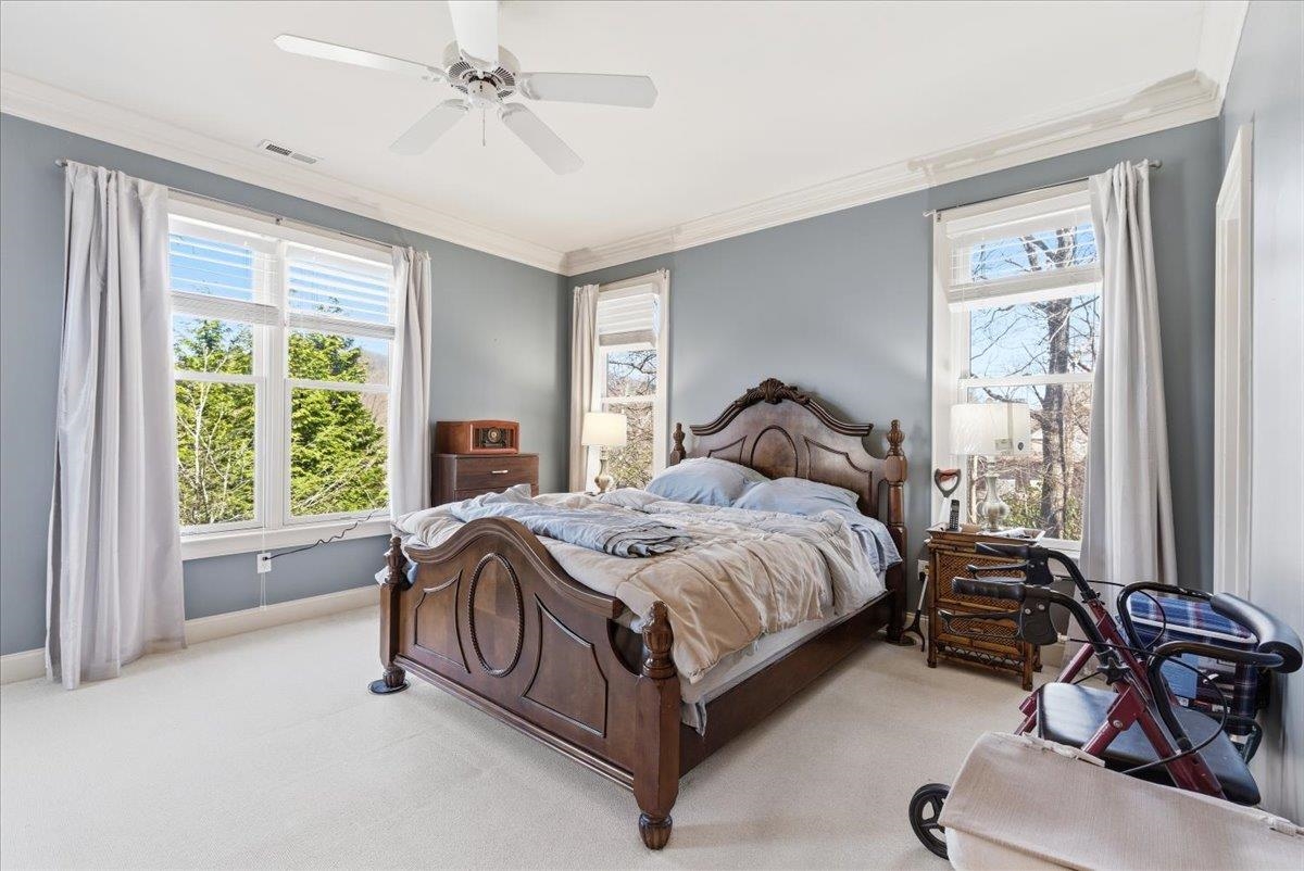 3 Rustic Court Landrum, SC 29356 - Photo 24 of 50