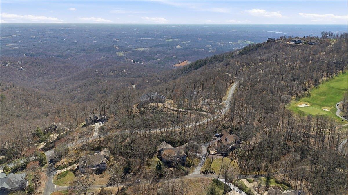 3 Rustic Court Landrum, SC 29356 - Photo 46 of 50