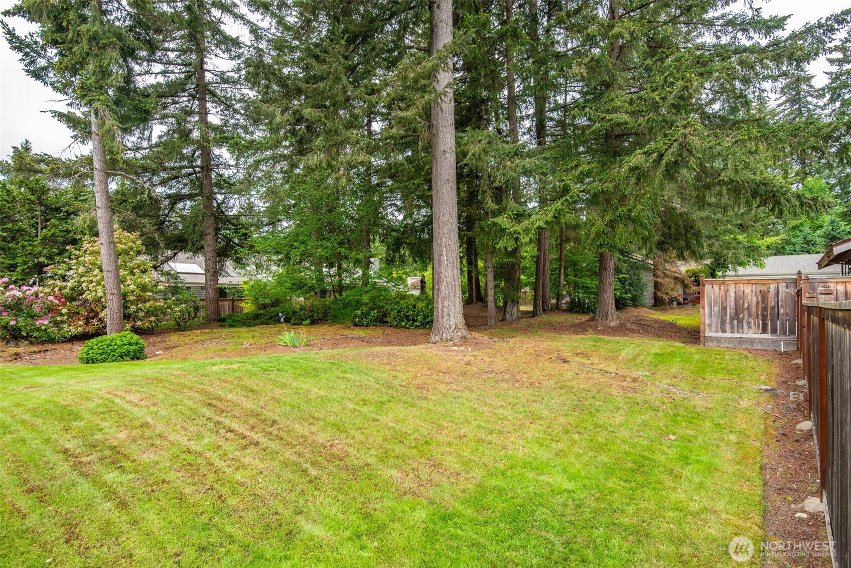 1322 Boise Street Fircrest, WA 98466 - Photo 4 of 40 a view of a yard with a trees