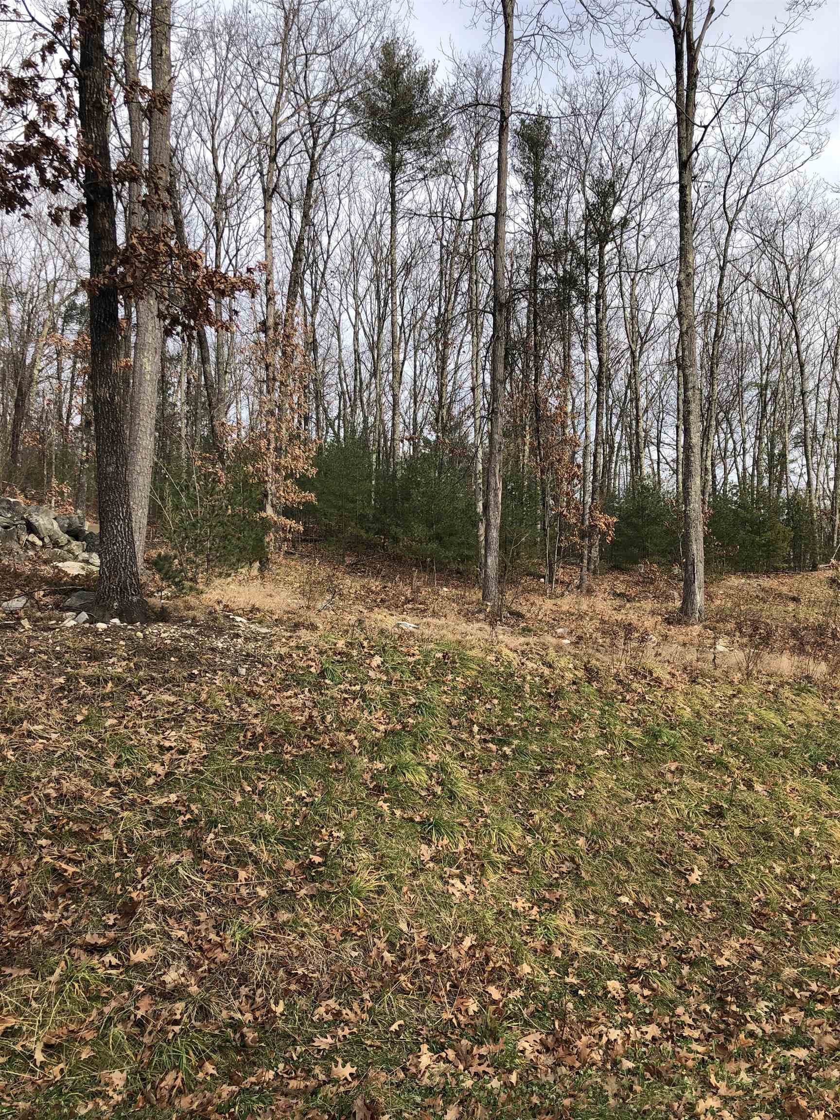 5 Whitetail Ridge, Unit 4A2313 Merrimack, NH 03054 - Photo 2 of 2
