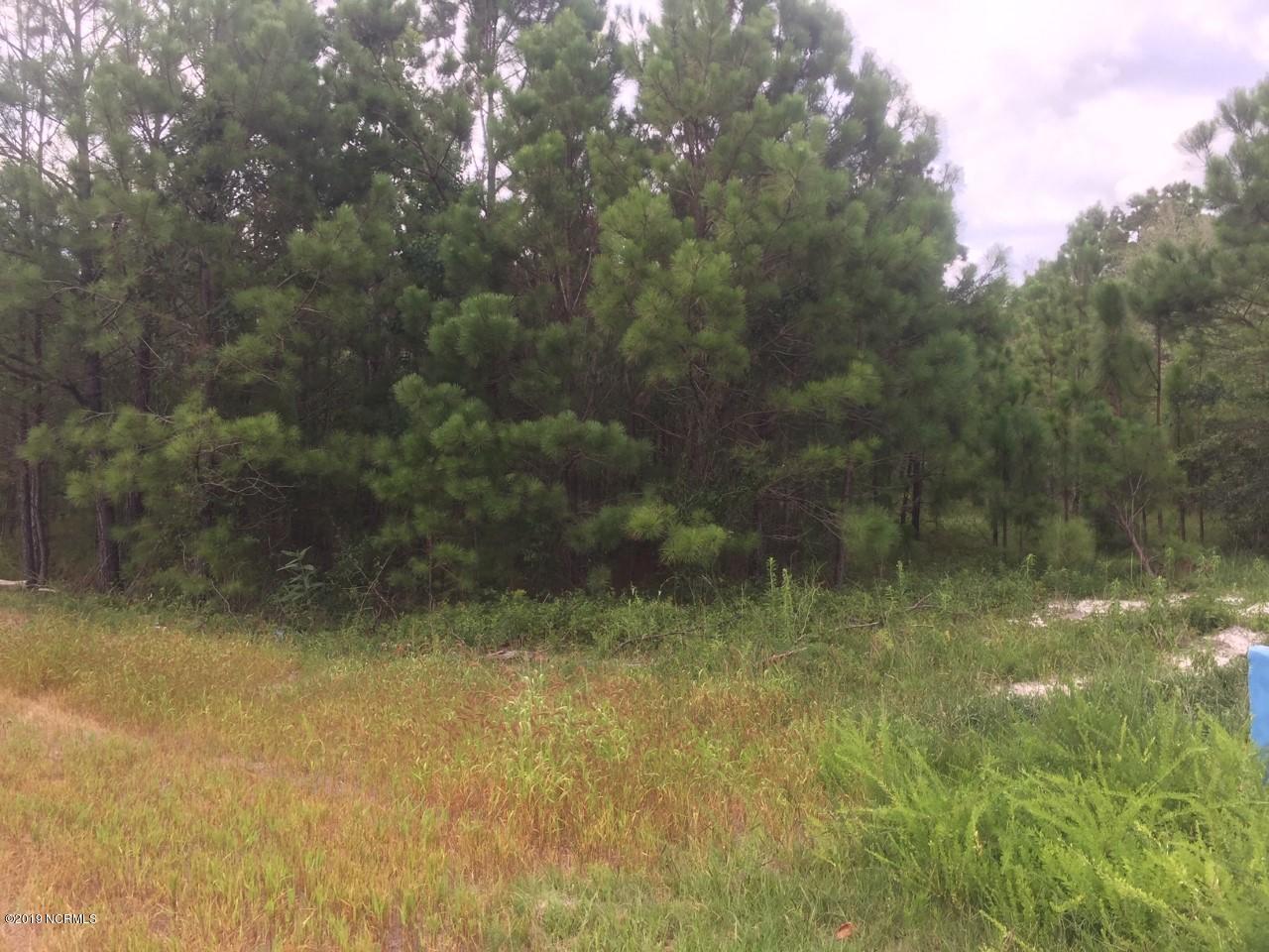 1663 East Boiling Spring Road Boiling Spring Lakes, NC 28461 - Photo 1 of 8 View from corner of lot 107