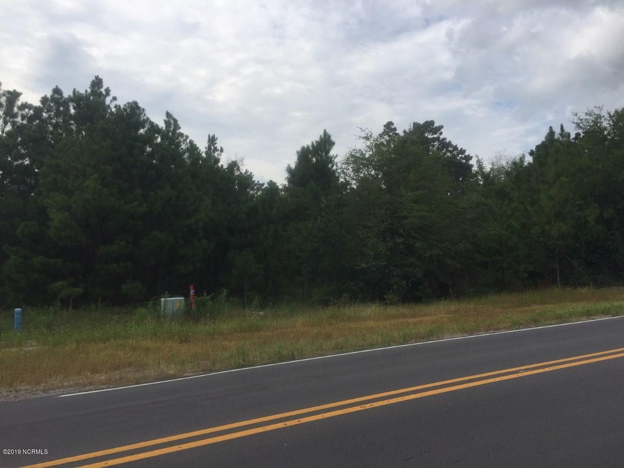 1663 East Boiling Spring Road Boiling Spring Lakes, NC 28461 - Photo 2 of 8 View from across E Boiling Spring Rd