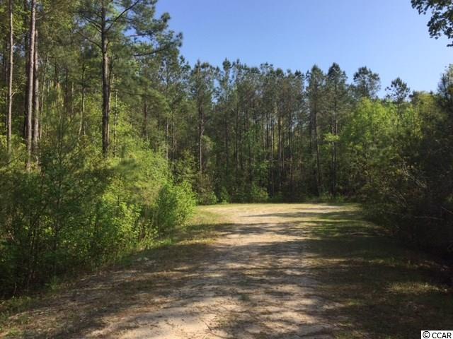 Lot 1 Country View Little River, SC 29566 - Photo 1 of 25 Gallery Image 1