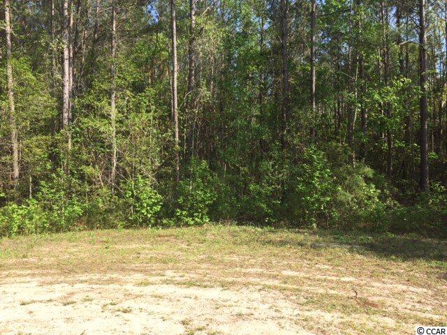 Lot 1 Country View Little River, SC 29566 - Photo 2 of 25 Gallery Image 2