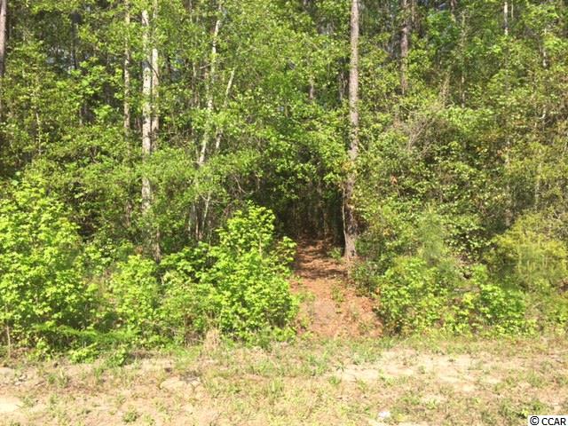 Lot 1 Country View Little River, SC 29566 - Photo 3 of 25 Gallery Image 3