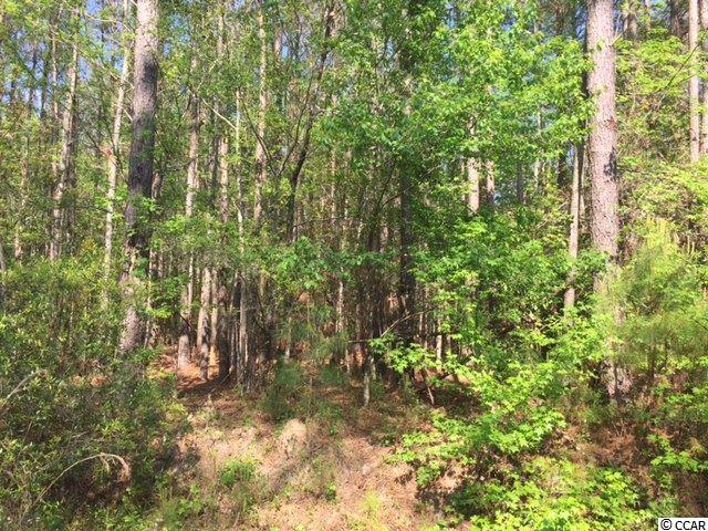 Lot 1 Country View Little River, SC 29566 - Photo 5 of 25 Gallery Image 5