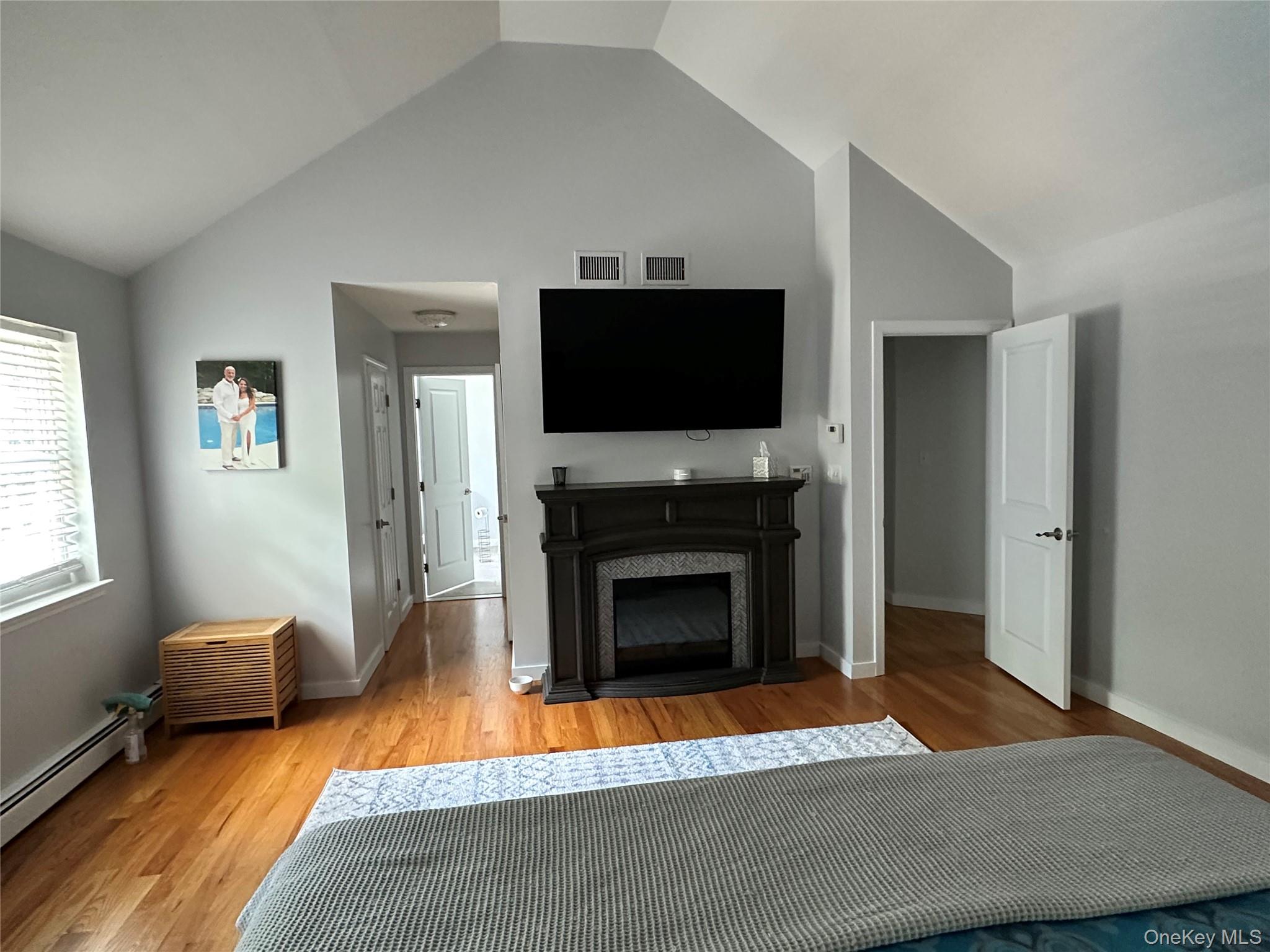 95 Weed Road Pine Bush, NY 12566 - Photo 11 of 31 Room featuring vaulted ceilings, wood-finish flooring, a decorative electric fireplace with a dark wood-tone mantel, white interior doors, and a window with blinds
