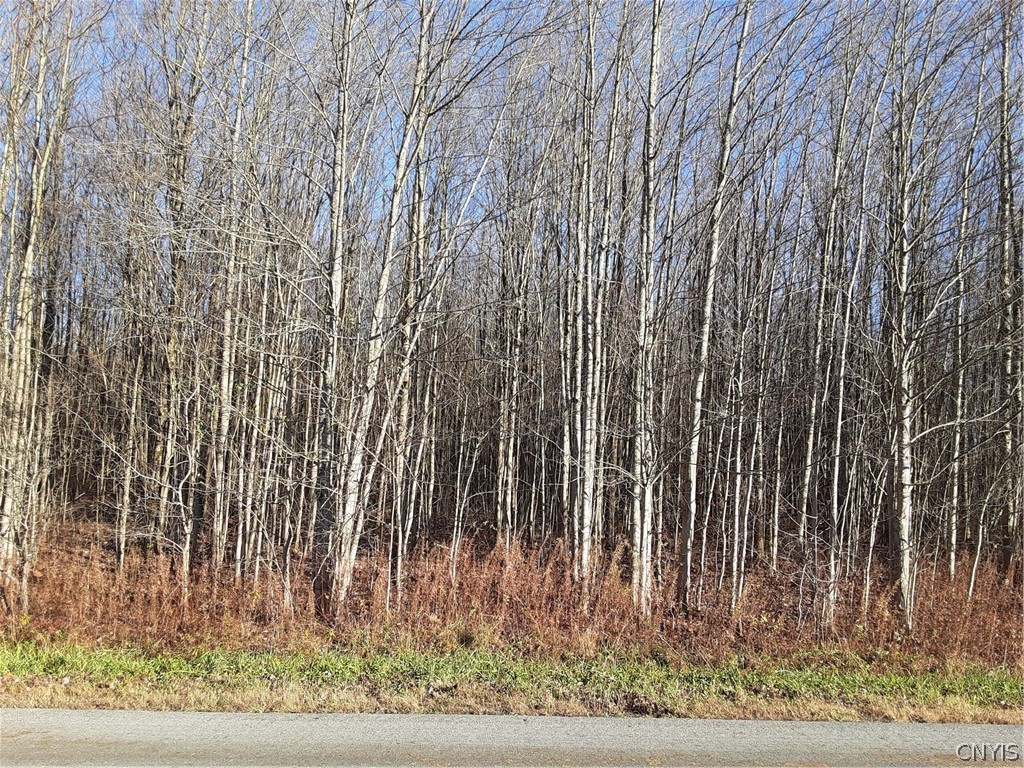 0 Point Rock Road Taberg, NY 13471 - Photo 2 of 5