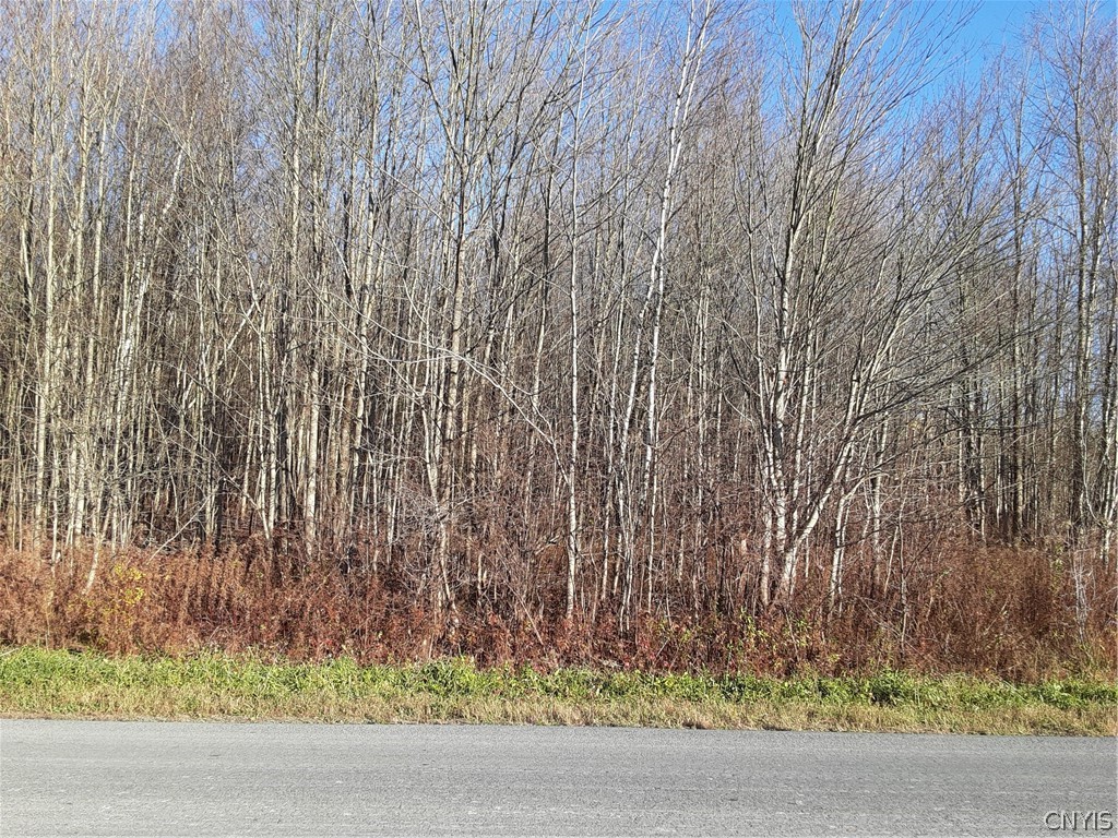 0 Point Rock Road Taberg, NY 13471 - Photo 3 of 5